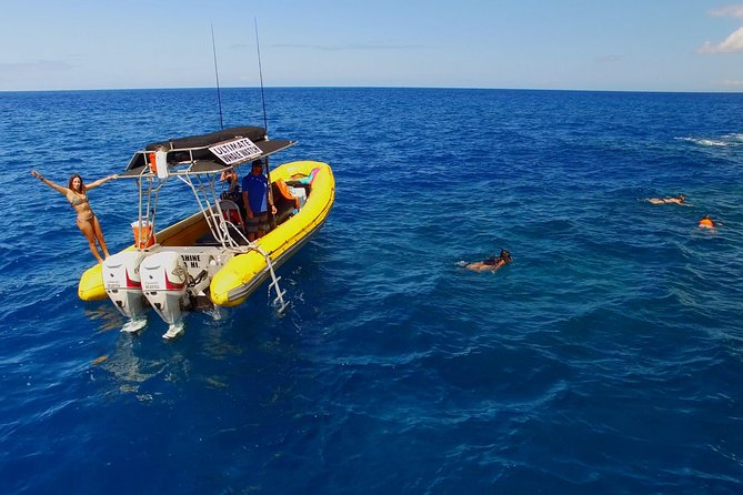 Lanai Deluxe Dolphin Adventure & 3 Snorkel Sites - Lanai’s cliffs are part of the sightseeing