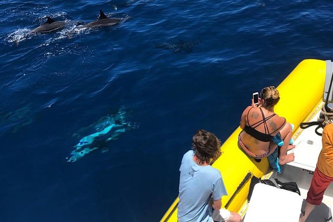 Lanai Deluxe Dolphin Adventure & 3 Snorkel Sites - Booking and cancellation details to keep in mind