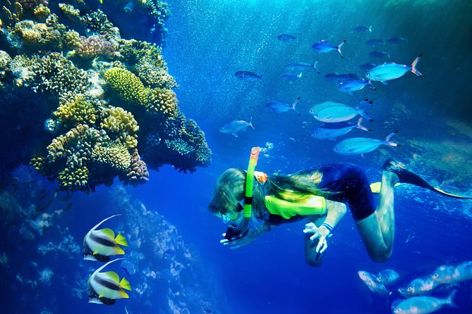 Lanai Snorkel and Dolphin Watch from Maalaea - Crossing the Channel from Maalaea to Lanai