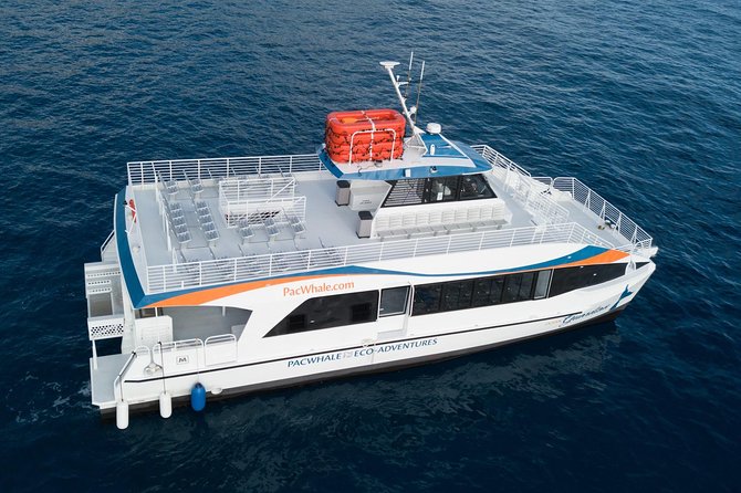 Lanai Snorkel and Dolphin Watch from Maalaea - Price and What You Get for $183.25