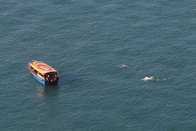 Lantau Group Tour: Dolphin Watching, Fishing Village & Cable Car - Ngong Ping 360 gives you the day’s best first view
