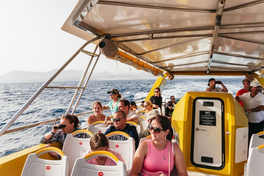 Lanzarote: 2.5-Hour Sunset and Dolphins Cruise - Who should book this Lanzarote cruise?