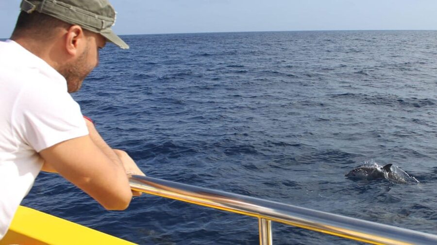 Lanzarote: 2.5-Hour Sunset and Dolphins Cruise - What the Biosfera Jet ride feels like