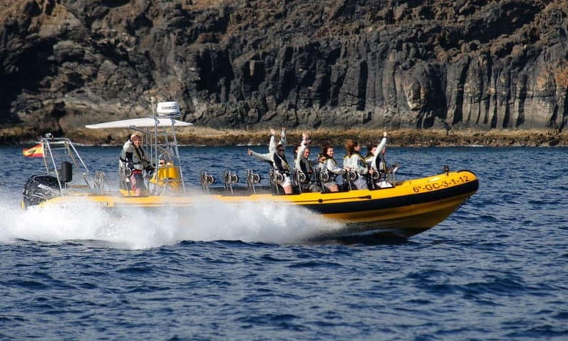 Lanzarote: Dolphin Watching by speedboat - Dolphin sightings are possible, not promised
