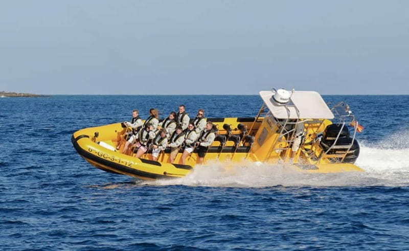 Lanzarote: Dolphin Watching by speedboat - Wildlife beyond dolphins