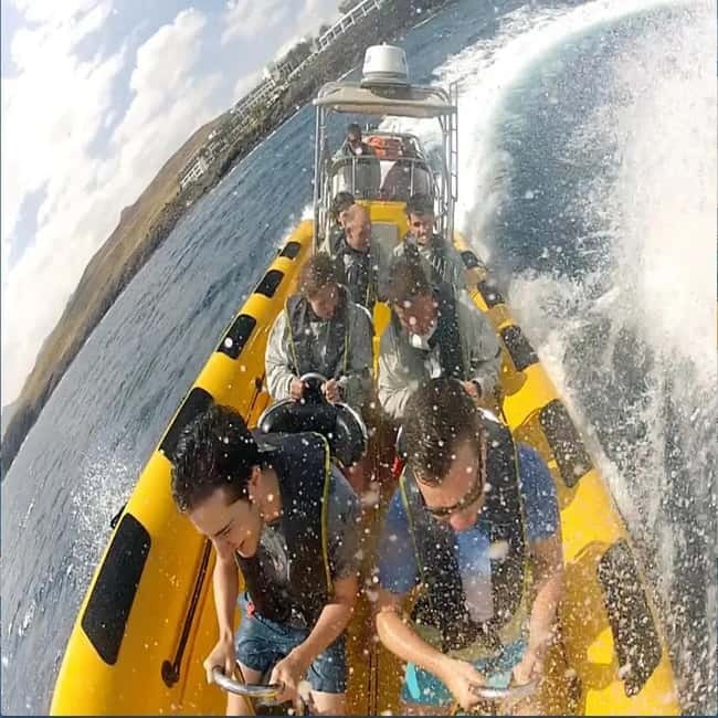 Lanzarote: Dolphin Watching by speedboat - Who will enjoy this speedboat trip?