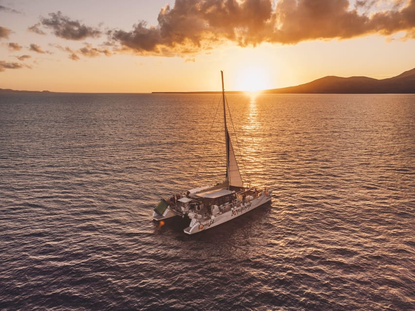 Lanzarote: Dolphin-Watching Sunset Cruise with Transfers - What the Coastal Route Gives You