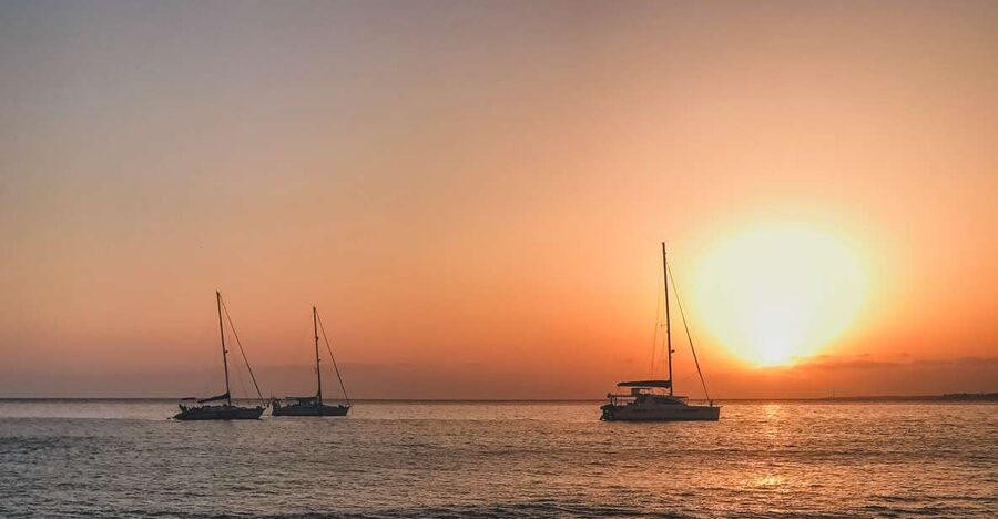 Lanzarote: Dolphin-Watching Sunset Cruise with Transfers - The Dolphin Search: Wonderful When It Works