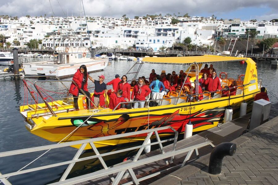 Lanzarote: Lobos Island Half-Day Dolphin Watching Trip - Is $85 a fair price?
