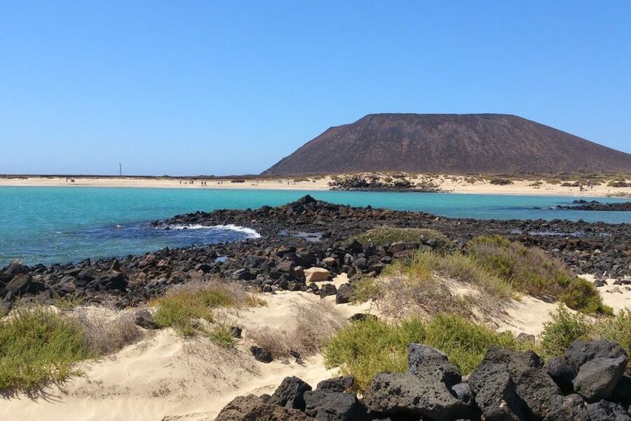 Lanzarote: Lobos Island Half-Day Dolphin Watching Trip - Who will enjoy this boat trip most?