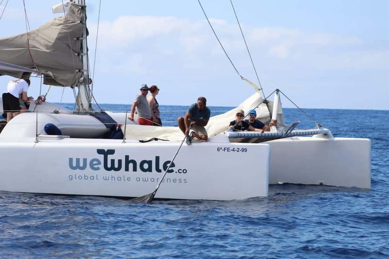 Lanzarote Sunset Experience with dolphin spotting - Key points at a glance