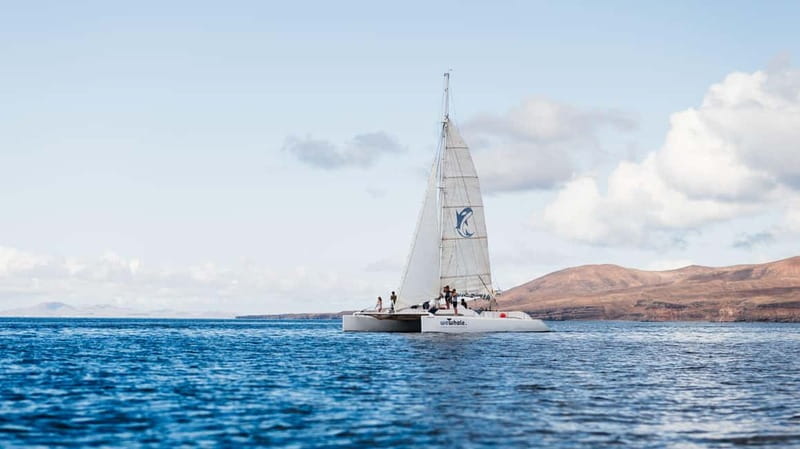 Lanzarote Sunset Experience with dolphin spotting - A quiet way to watch Lanzarote’s coast
