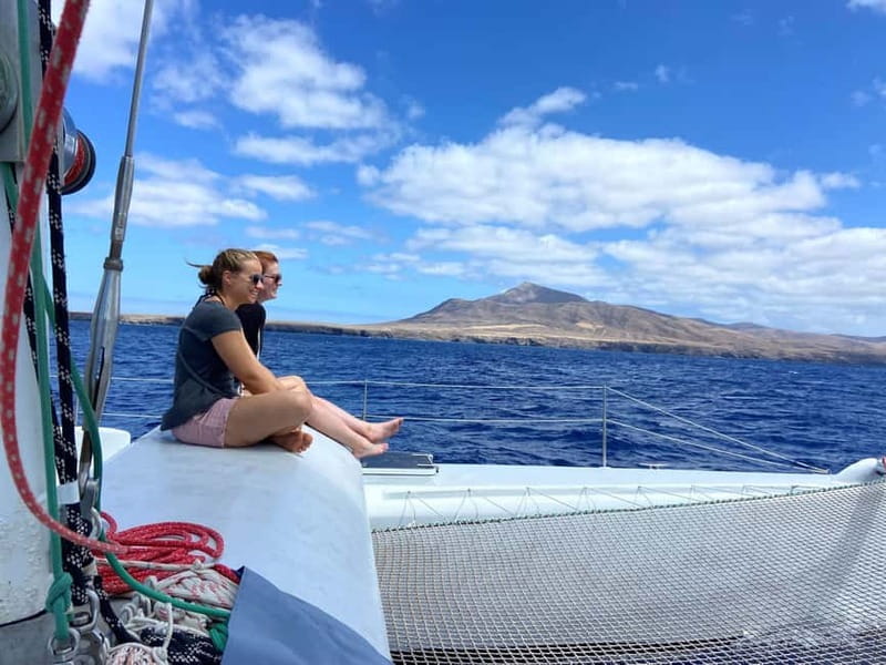 Lanzarote Sunset Experience with dolphin spotting - Dolphins, whales, and the limits of wildlife watching