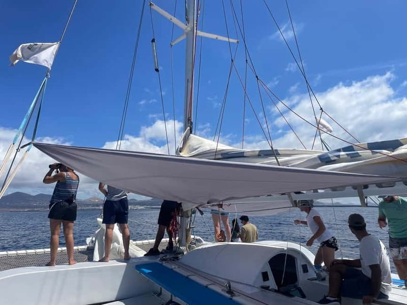 Lanzarote Sunset Experience with dolphin spotting - Drinks, snacks, and what you should bring
