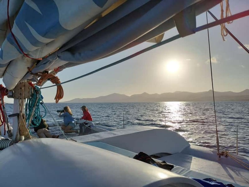 Lanzarote Sunset Experience with dolphin spotting - Who will enjoy La Santa María most?