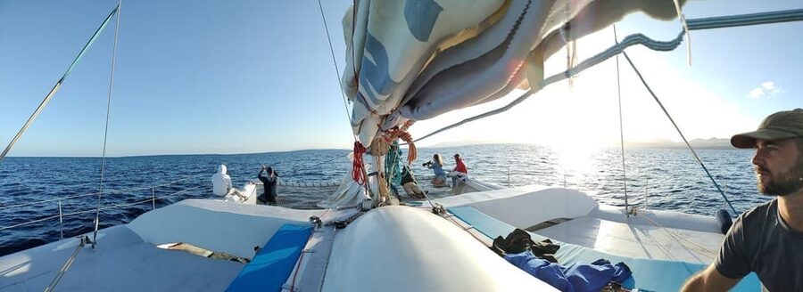 Lanzarote: Whale and Dolphin Watching Eco-Friendly Catamaran - Watching without chasing