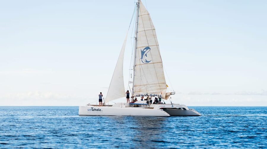 Lanzarote: Whale and Dolphin Watching Eco-Friendly Catamaran - Listening through the hydrophone