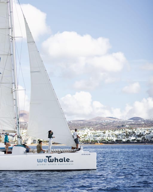 Lanzarote: Whale and Dolphin Watching Eco-Friendly Catamaran - Snacks, drinks, and the Lanzarote coastline