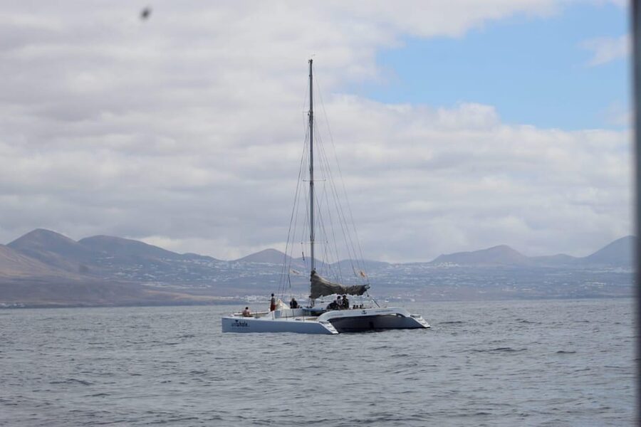 Lanzarote: Whale and Dolphin Watching Eco-Friendly Catamaran - The electric catamaran changes the mood
