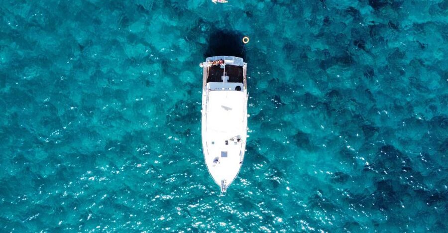 Las Galletas: Whale & Dolphin Tour with Local Skipper - Should you book the Las Galletas whale tour?