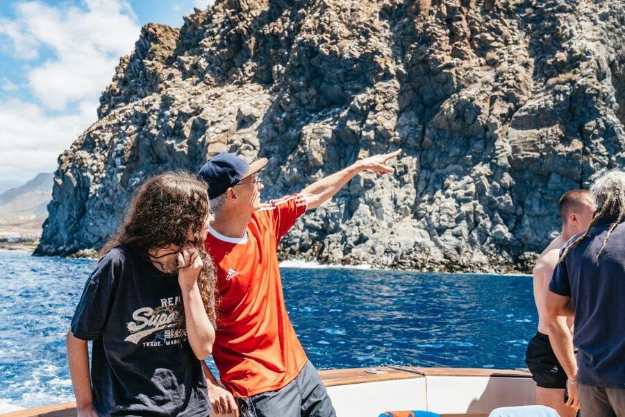 Las Galletas: Whale & Dolphin Tour with Local Skipper - A clear-water swim near the coast