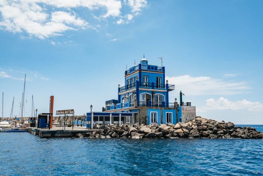 Las Galletas: Whale & Dolphin Tour with Local Skipper - Homemade lunch on the boat