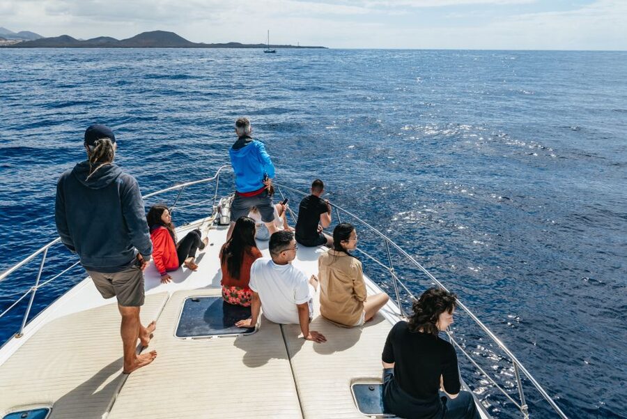 Las Galletas: Whale & Dolphin Tour with Local Skipper - Who will enjoy this cruise most
