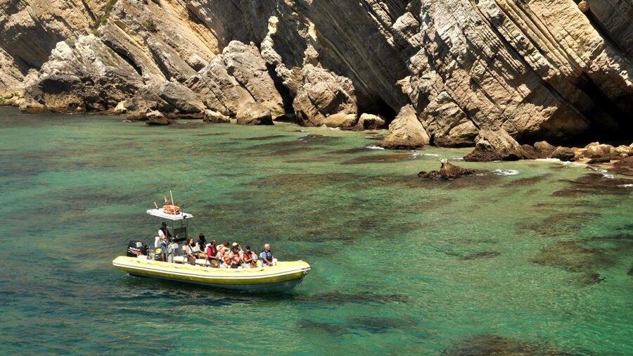 Lisbon: Arrábida Natural Park Dolphin Watching Boat Tour - Is $58 a fair price?