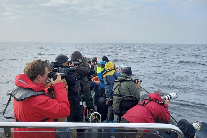 Lisbon: Dolphin Watching with a Marine Biologist - Ocean Safari - The marine biologist and crew