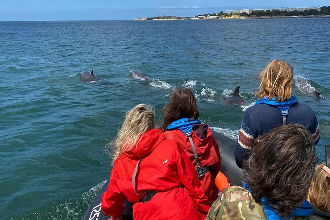 Lisbon: Dolphin Watching with Marine Biologist - Small Group - The boat ride: exciting, but not gentle