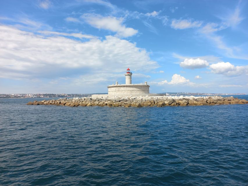Lisbon: Tagus River Cruise to the Ocean & Dolphin Watching - What dolphin watching is really like here