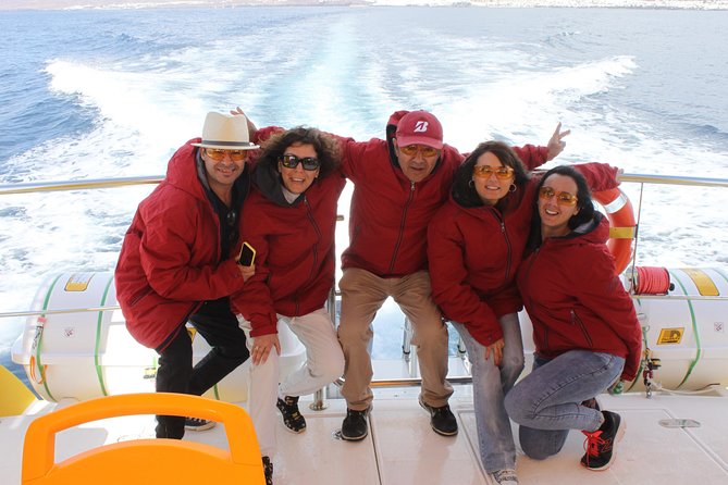 Lobos Island - The dolphin route - Two hours on Lobos Island, with no fixed walking tour