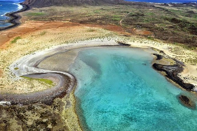 Lobos Island - The dolphin route - Returning to Lanzarote and managing the timing