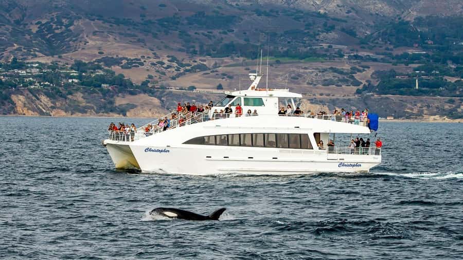 Long Beach: Whale and Dolphin Watching Cruise - Leaving Long Beach with the Pacific ahead