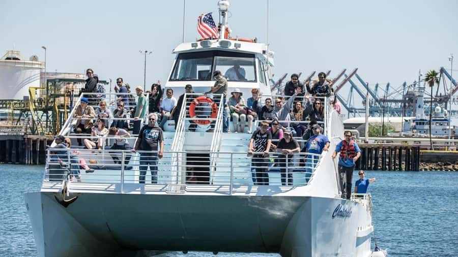 Long Beach: Whale and Dolphin Watching Cruise - My recommendation