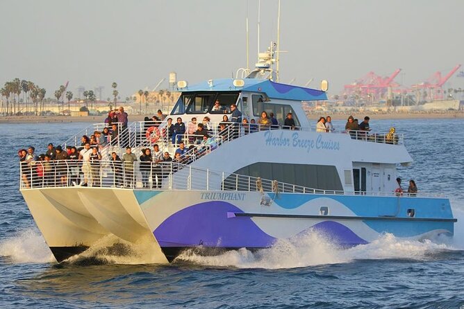 Los Angeles Whale and Dolphin Watching Cruise from West Harbor - The catamarans and the ride itself