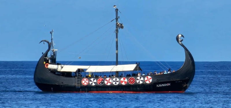 Los Cristianos: Viking Cruise Whales & Dolphins Watching - Food, drinks, toilets, and extra costs