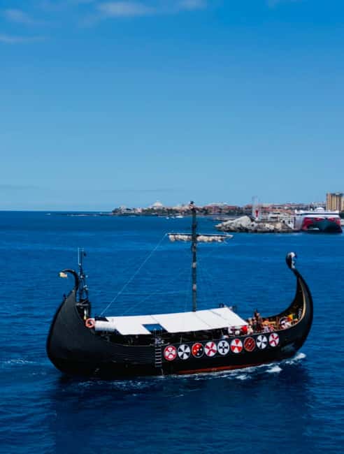 Los Cristianos: Viking Cruise Whales & Dolphins Watching - Practical tips for a better ride