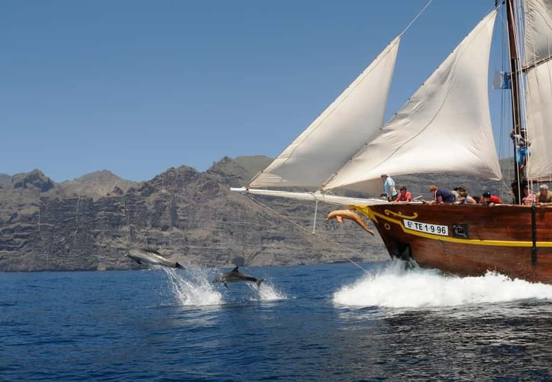 Los Gigantes: Dolphin & Whale Watching Tour on a Pirate Boat - Swimming From the Boat and Using the Trapeze