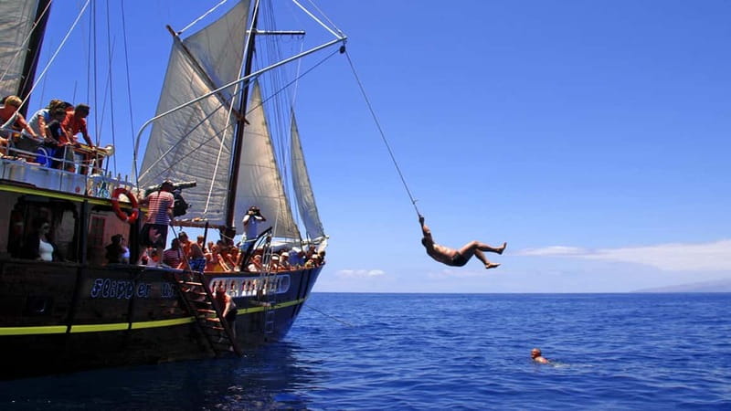 Los Gigantes: Dolphin & Whale Watching Tour on a Pirate Boat - Who Will Get the Most From This Cruise