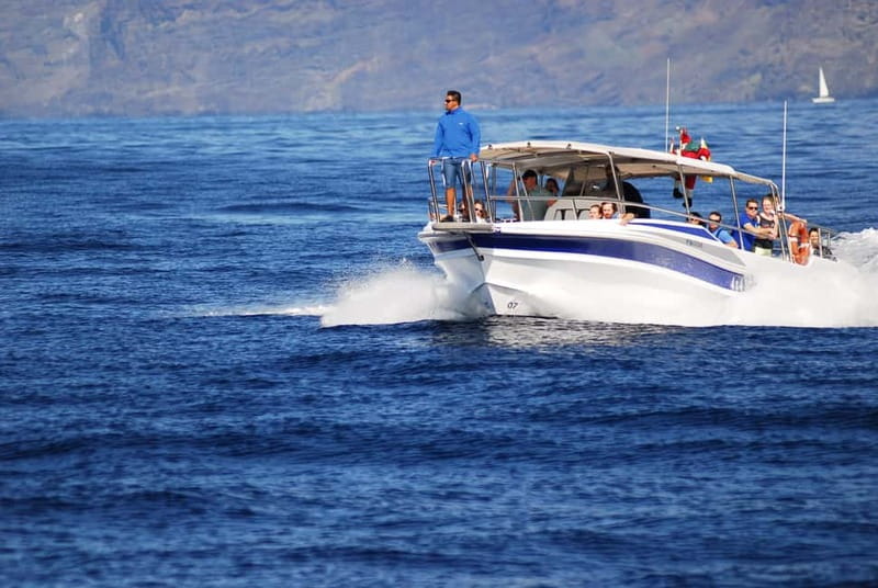 Los Gigantes: Whale or Dolphin Watching Tour and Swim in Masca - Key points to know before you book