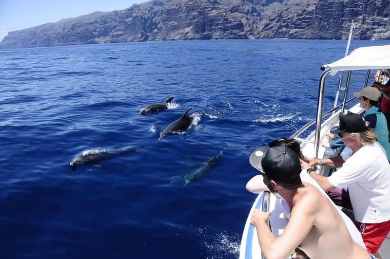 Los Gigantes: Whale or Dolphin Watching Tour and Swim in Masca - Why this short Los Gigantes cruise works so well