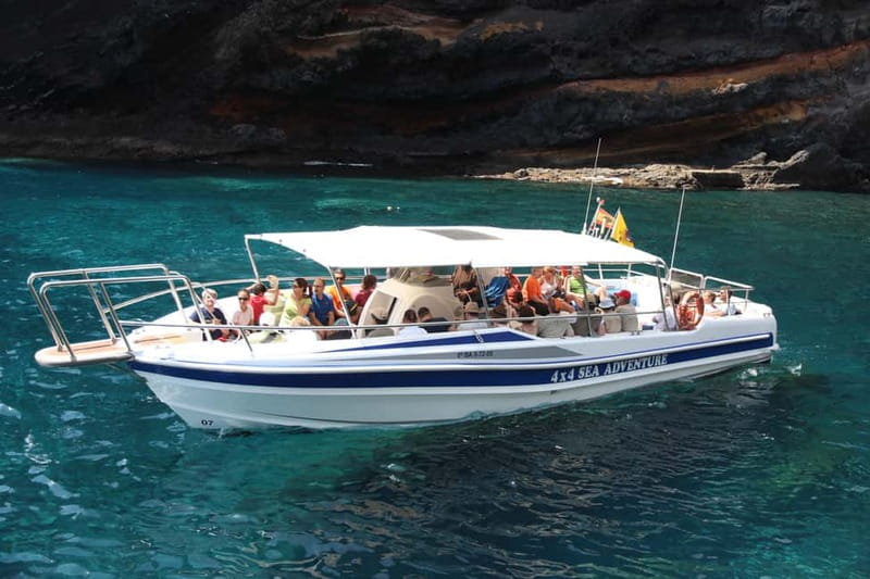 Los Gigantes: Whale or Dolphin Watching Tour and Swim in Masca - The first 30 minutes on the speedboat