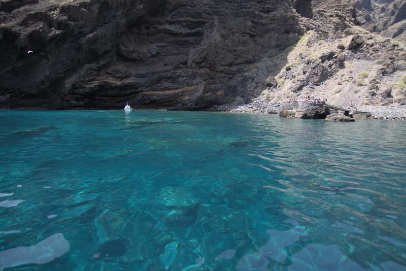 Los Gigantes: Whale or Dolphin Watching Tour and Swim in Masca - Watching pilot whales and dolphins near Los Gigantes