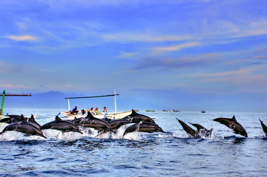lovina bali: Dolphin watching, waterfall and local lunch - Swimming at Banyumala Twin Waterfall