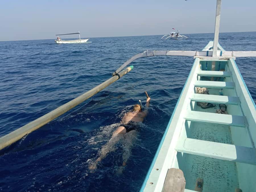 Lovina/BALI : SPECIAL Dolphin Watching,Swimming,Snorkeling - Setting Out From Lovina Beach