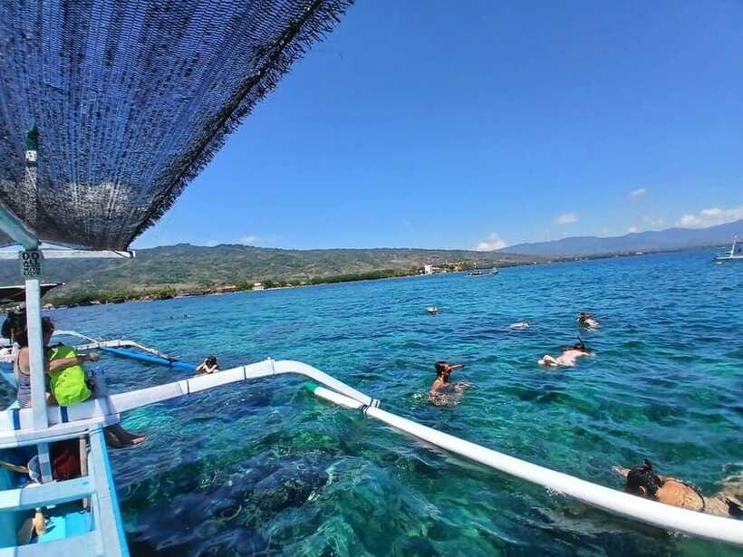 Lovina/BALI : SPECIAL Dolphin Watching,Swimming,Snorkeling - Is $24 Good Value?