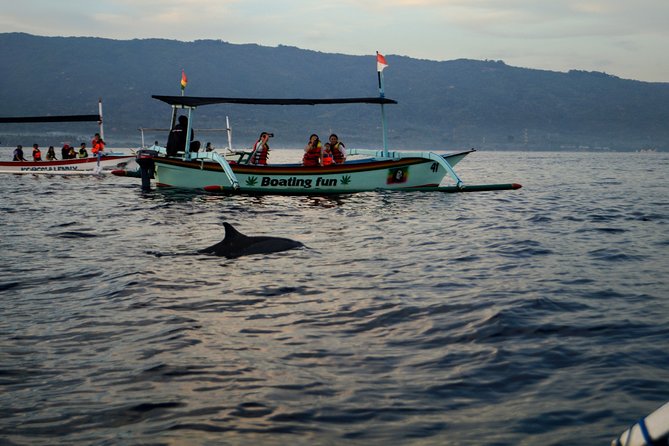 Lovina Dolphin Watching, Snorkeling and Waterfall Tour in Bali - Optional stops for photos, temples, and rice fields