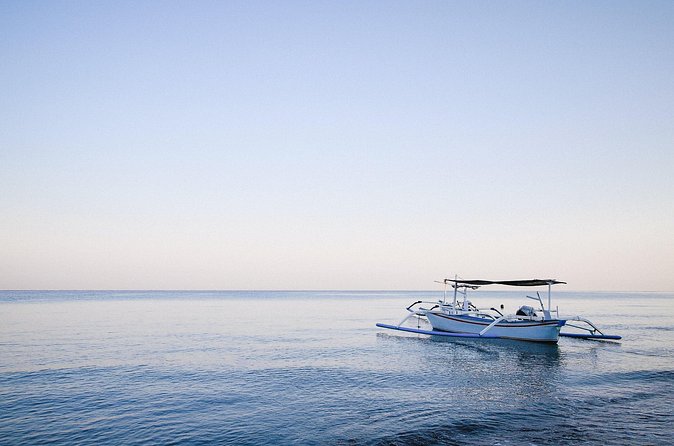 Lovina Dolphin Watching, Snorkeling and Waterfall Tour in Bali - What $102 per person buys you
