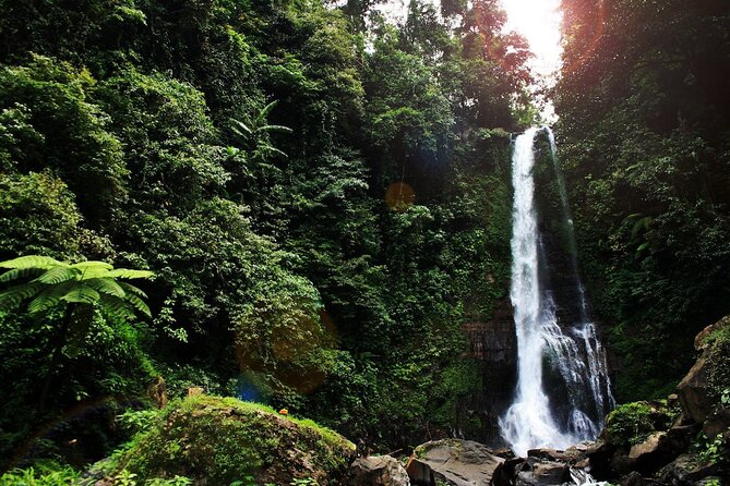 Lovina Dolphin Watching, Snorkeling and Waterfall Tour in Bali - Who will enjoy this tour most
